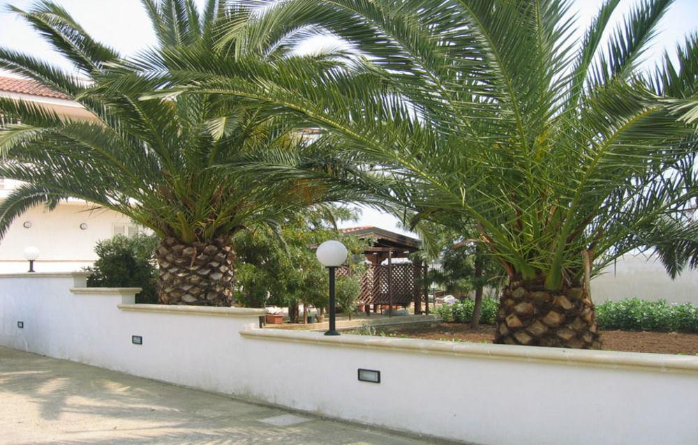 B&B Villa Teresa เลชเช ภายนอก รูปภาพ
